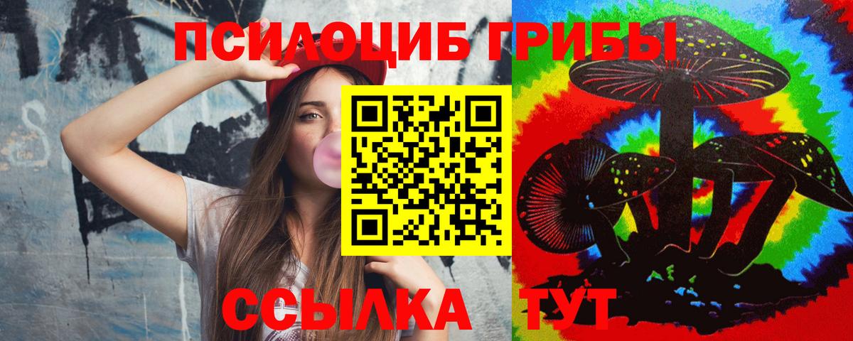 Псилоцибиновые грибы GOLDEN TEACHER Красногорск
